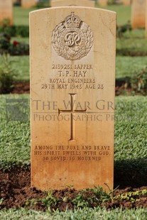 BEIRUT WAR CEMETERY - HAY, THOMAS PURDIE